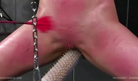 مثلية ناضجة مع كبير الثدي اغراء الشباب قصص سكس محارم ارشيف نسوانجي سمراء