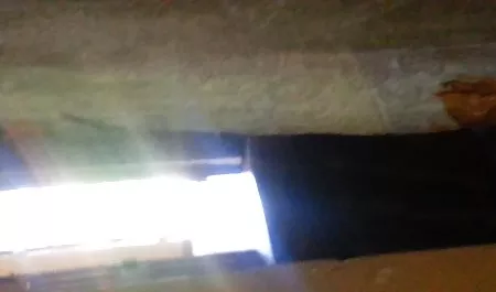 مفلس قصص شواذ نسوانجي الكلبة ناضجة يحب أن يمارس الجنس, مص
